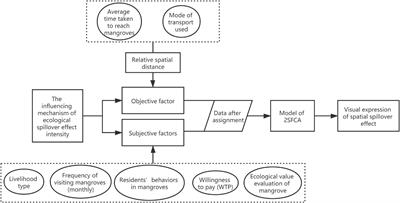 The Closer the Better? Modeling Spatial Spillover Effects of Ecological Externalities in Coastal Mangroves